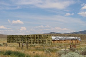 Drive_VancouvertoPrinceGeorge3