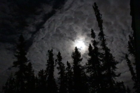 & then a late night moon by our house
