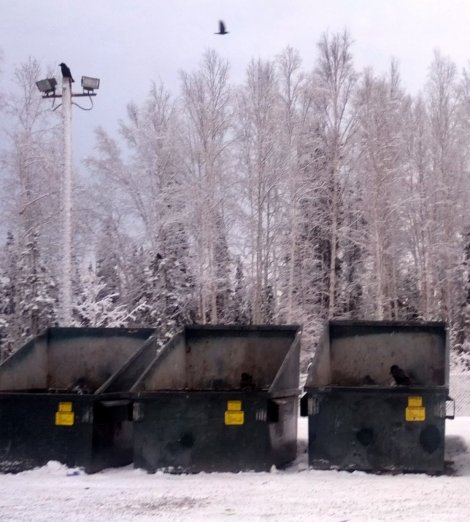 6-IMG_20131126_120802